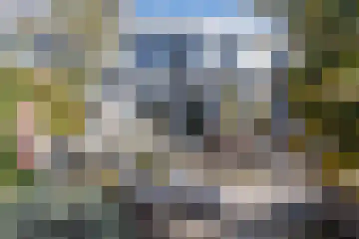 Het Brekkense Wiel 113 Lemmer thumbnail 25