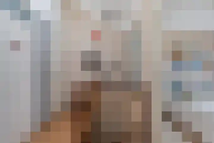 Het Brekkense Wiel 113 Lemmer thumbnail 30