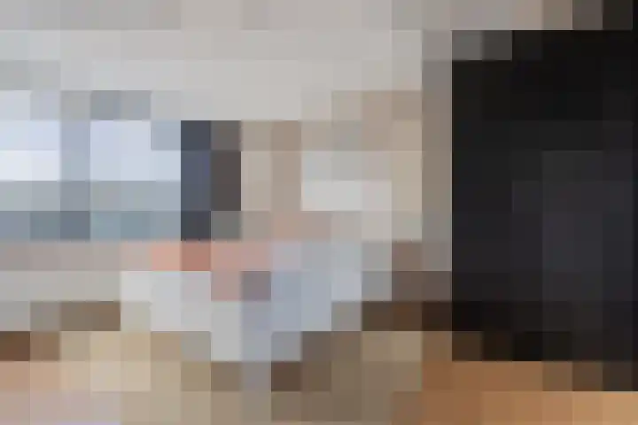 Het Brekkense Wiel 113 Lemmer thumbnail 31
