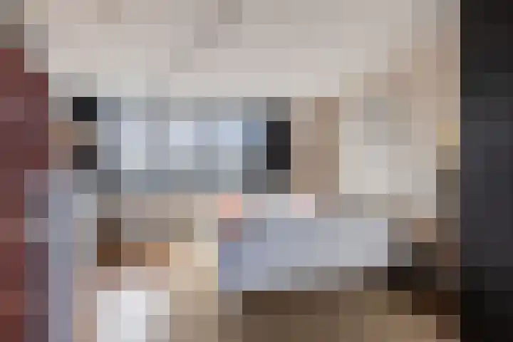 Het Brekkense Wiel 113 Lemmer thumbnail 32