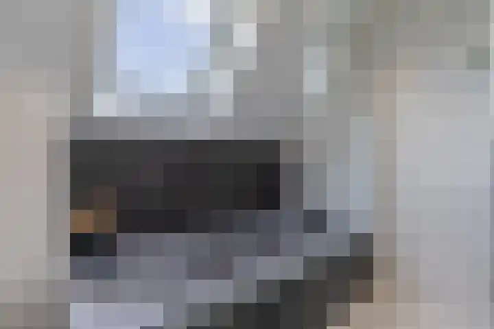 Het Brekkense Wiel 113 Lemmer thumbnail 36