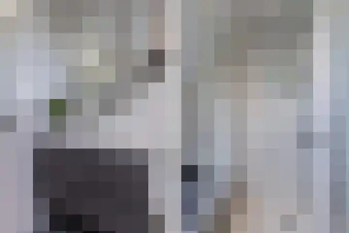 Het Brekkense Wiel 113 Lemmer thumbnail 37