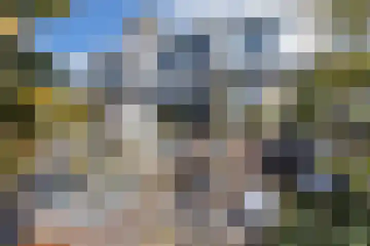 Het Brekkense Wiel 113 Lemmer thumbnail 38