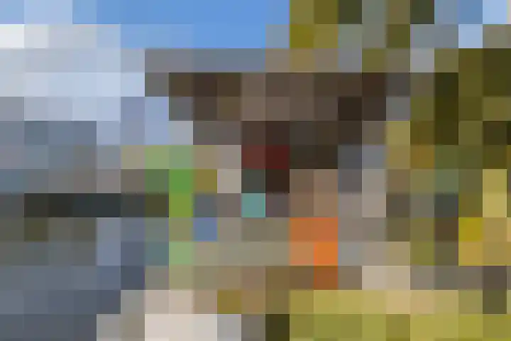 Het Brekkense Wiel 113 Lemmer thumbnail 39
