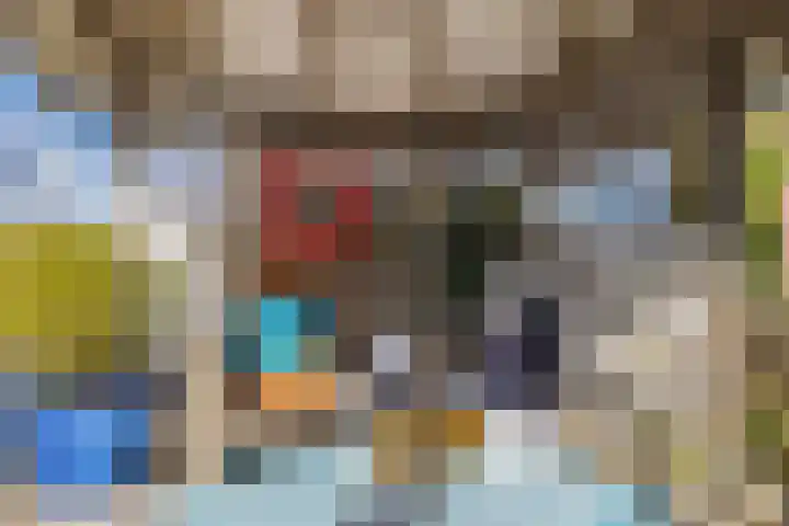 Het Brekkense Wiel 113 Lemmer thumbnail 40