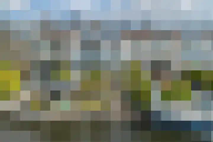 Het Brekkense Wiel 113 Lemmer thumbnail 42