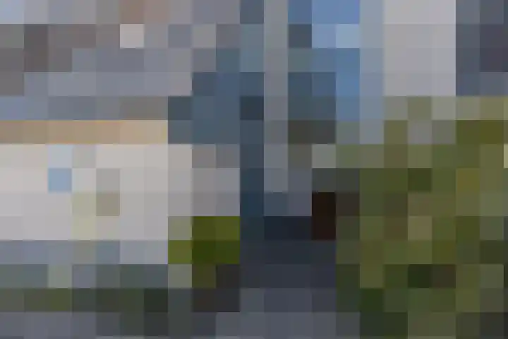 Het Brekkense Wiel 113 Lemmer thumbnail 47