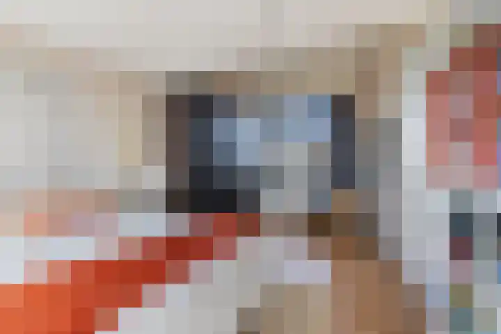 Het Brekkense Wiel 113 Lemmer thumbnail 5