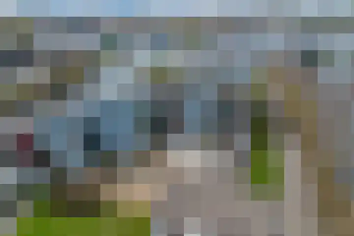 Het Brekkense Wiel 113 Lemmer thumbnail 50