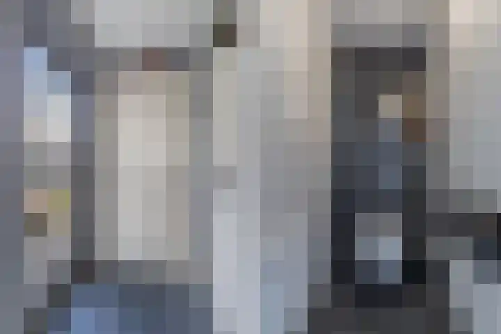 Het Brekkense Wiel 113 Lemmer thumbnail 8