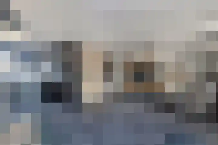 Het Brekkense Wiel 137 Lemmer thumbnail 13