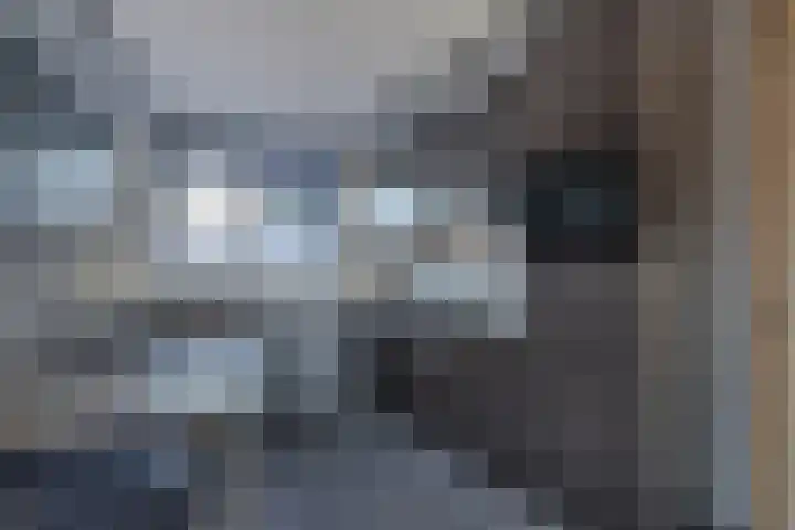 Het Brekkense Wiel 137 Lemmer thumbnail 15