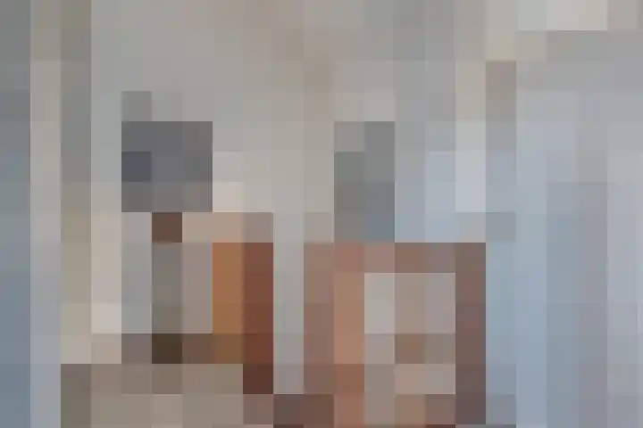 Het Brekkense Wiel 137 Lemmer thumbnail 26