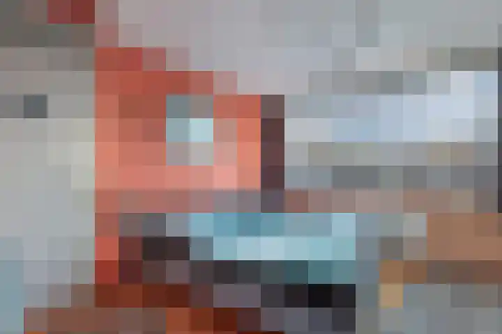Het Brekkense Wiel 137 Lemmer thumbnail 27