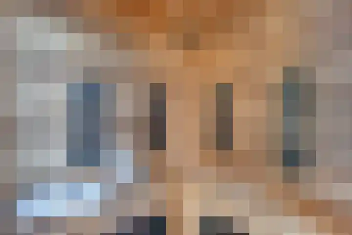 Het Brekkense Wiel 137 Lemmer thumbnail 32