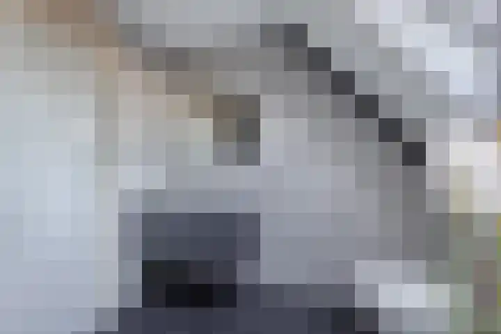 Het Brekkense Wiel 137 Lemmer thumbnail 33