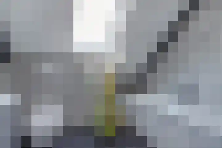 Het Brekkense Wiel 137 Lemmer thumbnail 34