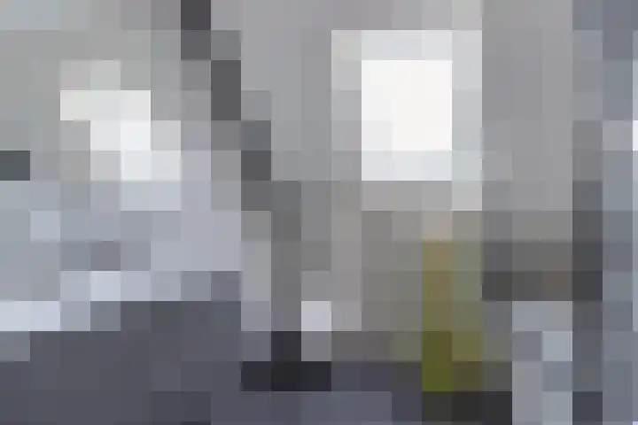 Het Brekkense Wiel 137 Lemmer thumbnail 35