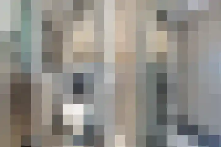 Het Brekkense Wiel 137 Lemmer thumbnail 4