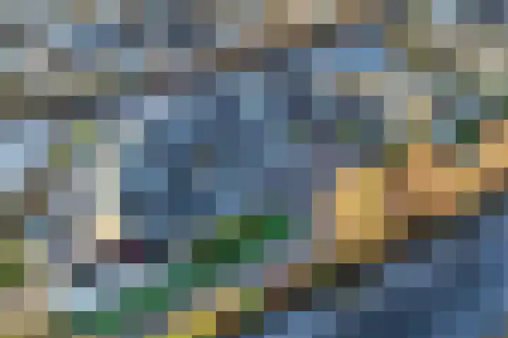 Het Brekkense Wiel 137 Lemmer thumbnail 40