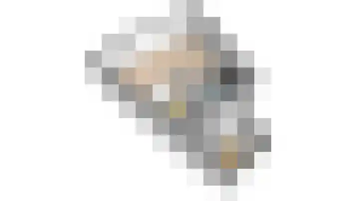 Het Brekkense Wiel 137 Lemmer thumbnail 42