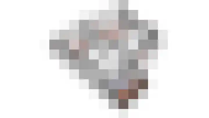 Het Brekkense Wiel 137 Lemmer thumbnail 44