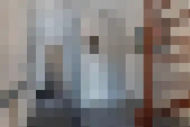 Het Brekkense Wiel 137 Lemmer thumbnail 9