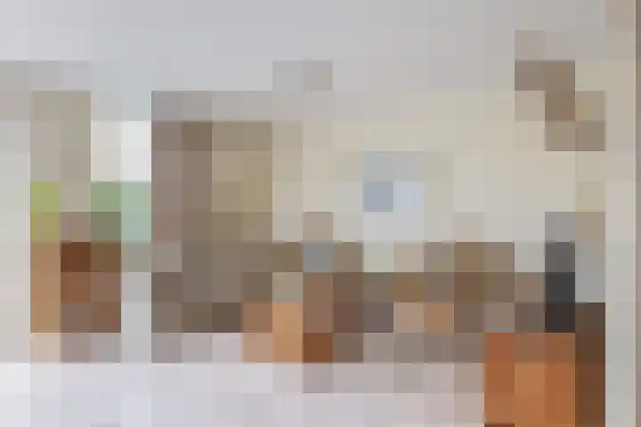Het Brekkense Wiel 138 Lemmer thumbnail 10