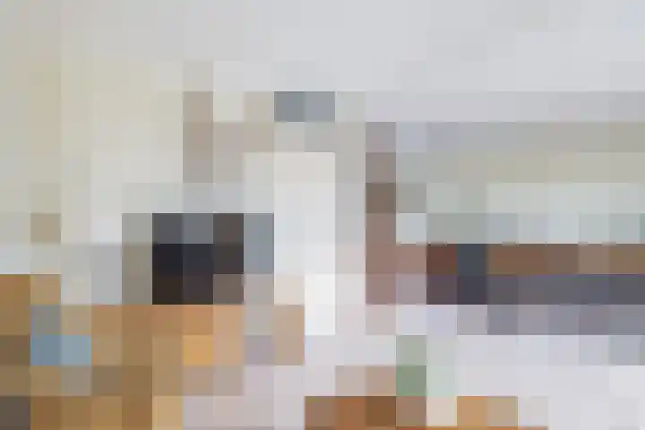 Het Brekkense Wiel 138 Lemmer thumbnail 11