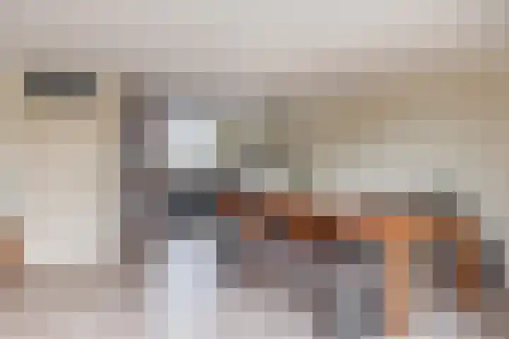 Het Brekkense Wiel 138 Lemmer thumbnail 12