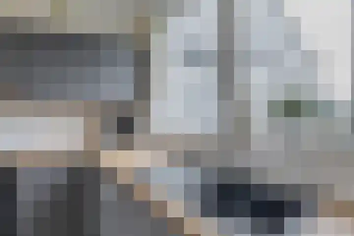 Het Brekkense Wiel 138 Lemmer thumbnail 14