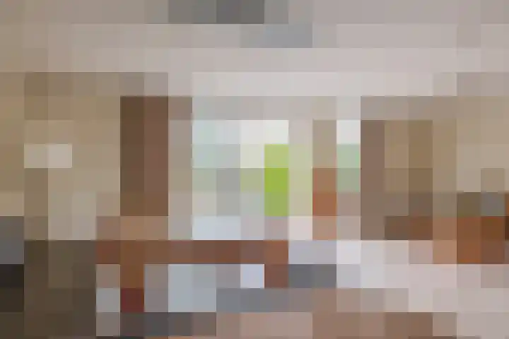 Het Brekkense Wiel 138 Lemmer thumbnail 17