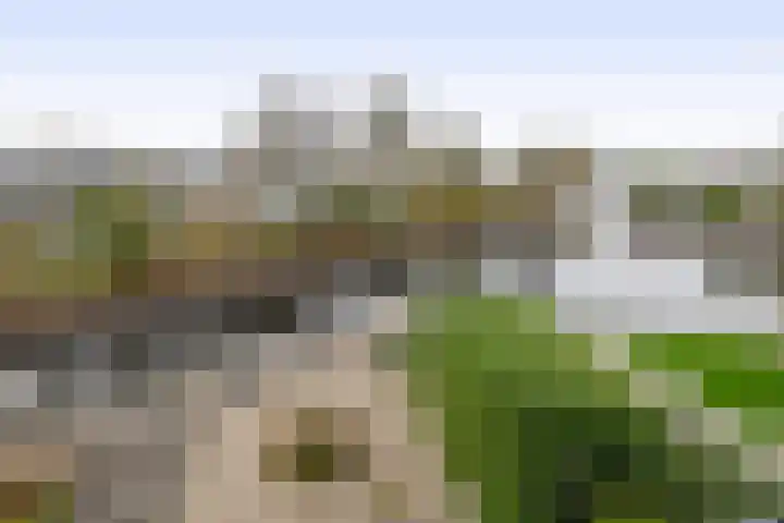 Het Brekkense Wiel 138 Lemmer thumbnail 22