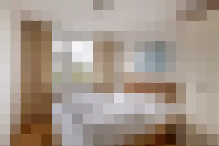 Het Brekkense Wiel 138 Lemmer thumbnail 32