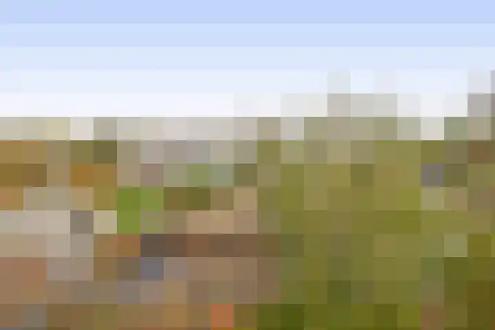 Het Brekkense Wiel 138 Lemmer thumbnail 34