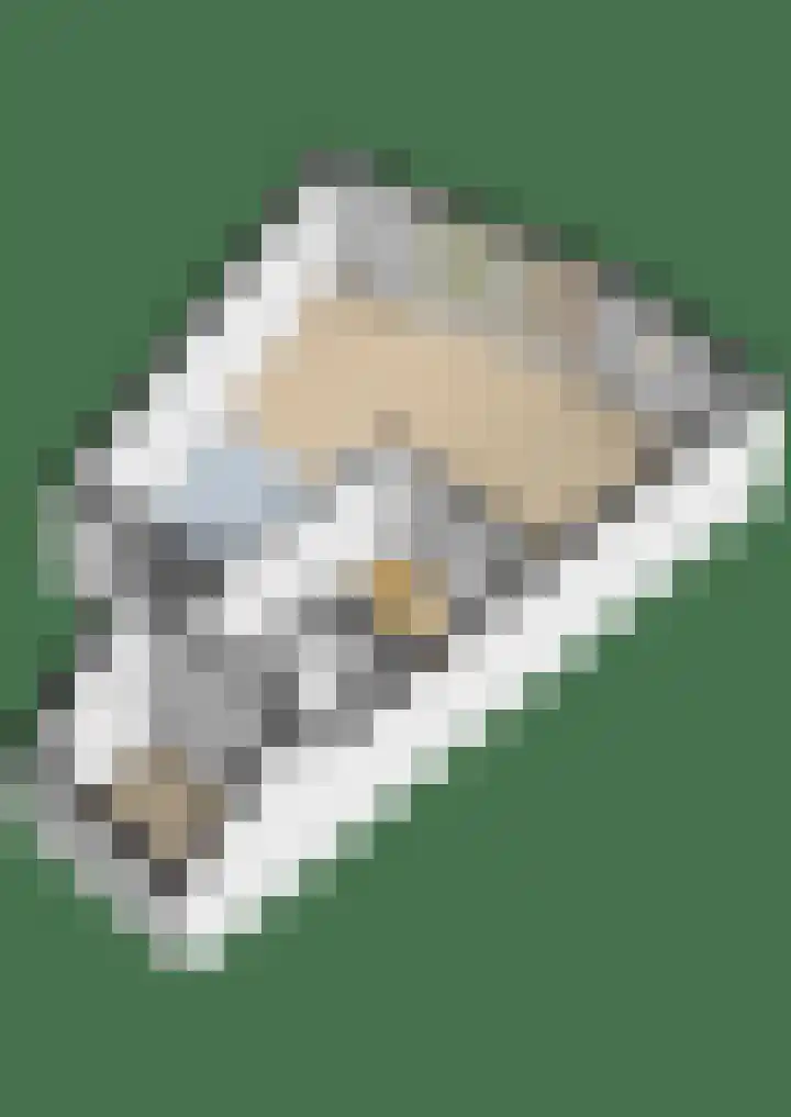 Het Brekkense Wiel 138 Lemmer thumbnail 39