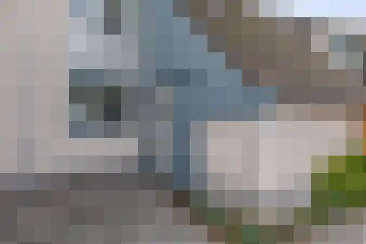 Het Brekkense Wiel 138 Lemmer thumbnail 4