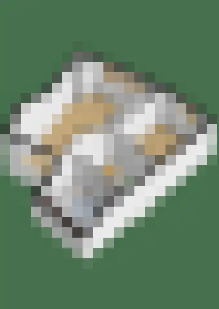 Het Brekkense Wiel 138 Lemmer thumbnail 41