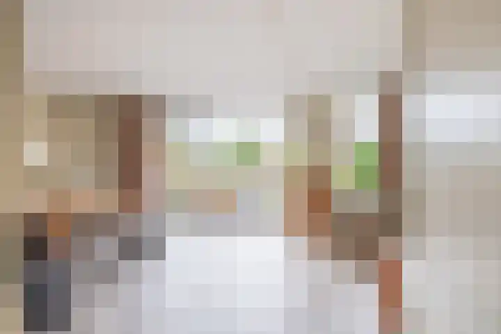 Het Brekkense Wiel 138 Lemmer thumbnail 8