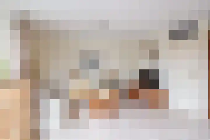 Het Brekkense Wiel 138 Lemmer thumbnail 9