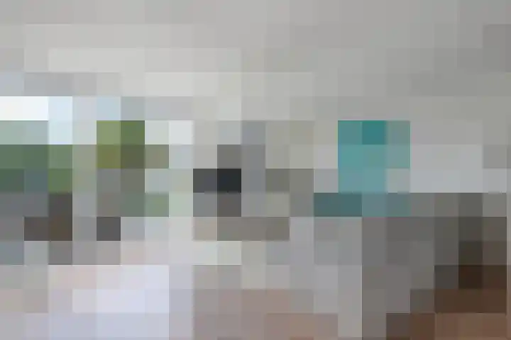 Het Brekkense Wiel 140 Lemmer thumbnail 10
