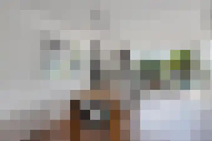 Het Brekkense Wiel 140 Lemmer thumbnail 13