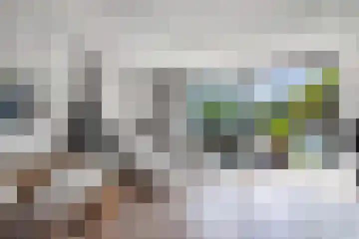 Het Brekkense Wiel 140 Lemmer thumbnail 15