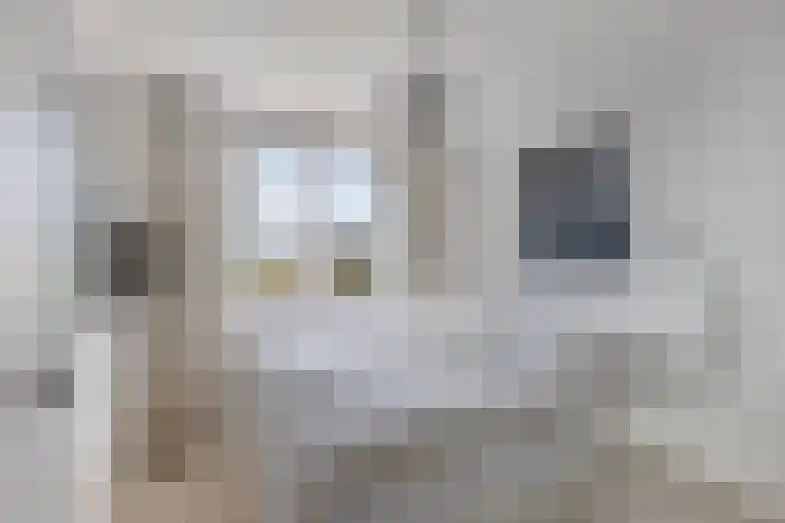 Het Brekkense Wiel 140 Lemmer thumbnail 17