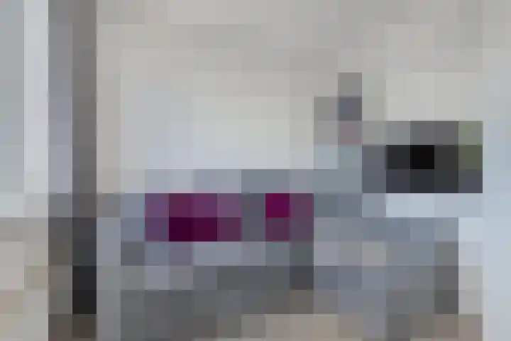 Het Brekkense Wiel 140 Lemmer thumbnail 21