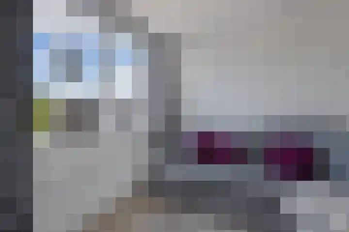 Het Brekkense Wiel 140 Lemmer thumbnail 22