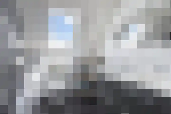 Het Brekkense Wiel 140 Lemmer thumbnail 23