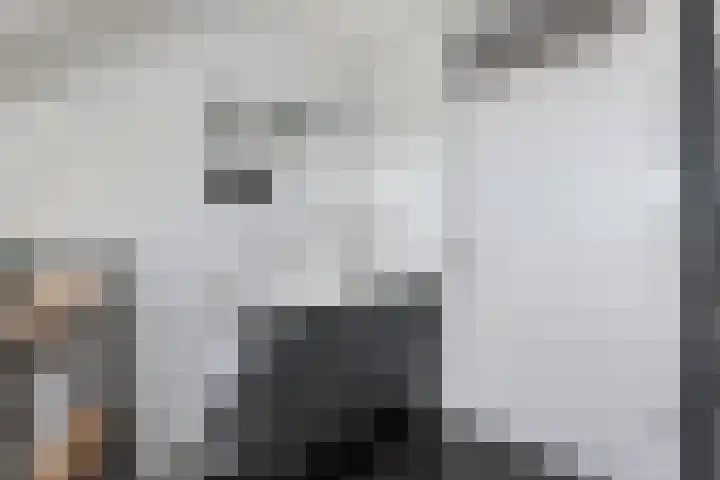 Het Brekkense Wiel 140 Lemmer thumbnail 24
