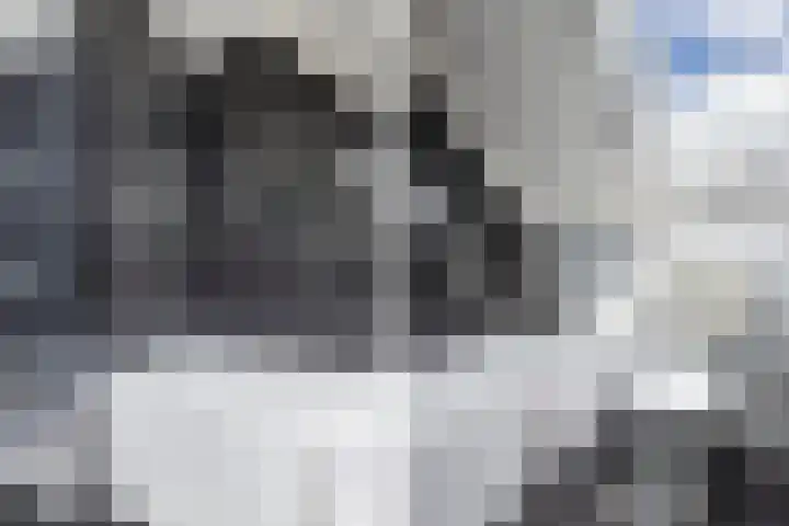 Het Brekkense Wiel 140 Lemmer thumbnail 25