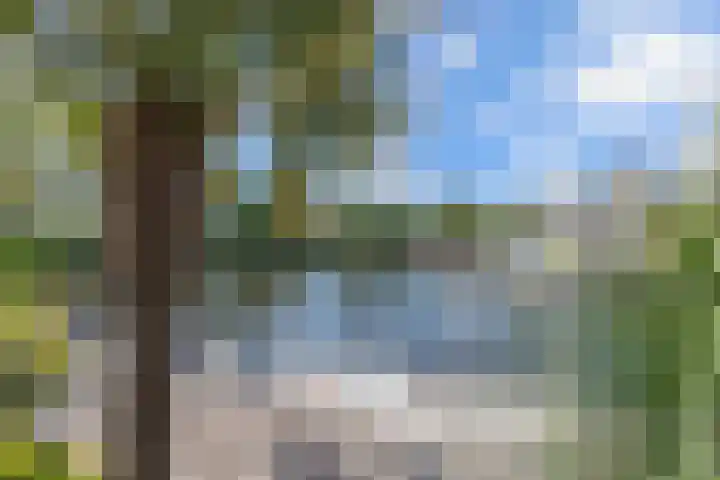 Het Brekkense Wiel 140 Lemmer thumbnail 28